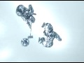 Royal Canadian Mint Winter Olympic Games TV #2 Royal Canadian Mint Winter Olympic Games TV #2