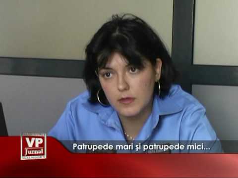 Patrupede mari şi patrupede mici