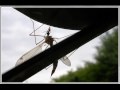 clip video Zao Moustique