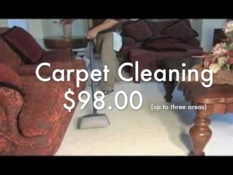 how to clean cat urine from air vent