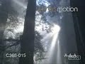 Selah - All My Tears