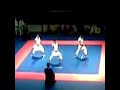 panamericano adulto de karate venezuela 2008 panamericano adulto de karate venezuela 2008