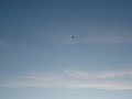 MOV03023.MPG