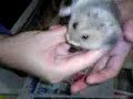 ?B