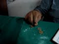 el clan del cochicui (cerdo pagando billares)