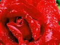 Bir ay do?ar me?eden - Ali TURGUT