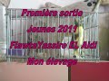 Flawta1000 - flawta yassire el aidi