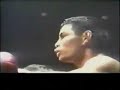 Kyokushin Vs Muay Thai