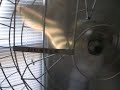 Hunter Century 24\" Pedestal Fan