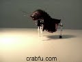 swashbot 1