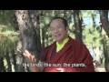 How to begin our day-by Tai Situ Rinpoche, a response to a requeste 2