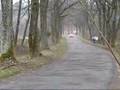Kuchar i Czopik - Testy Subaru i Polo S2000