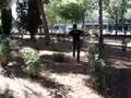 videos de El Señor Zurullo marcando su territorio