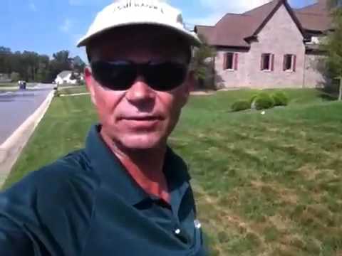 how to cure pythium root rot