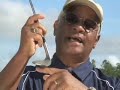 Golf Lesson-The Wedge
