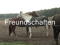 Der Eichenhof in Perwenitz