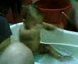 wyn ngah mandi