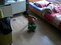 ade capoeira ade capoeira