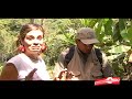 Oxapampa Agroforesteria, reforestacion y proyecto apicola