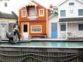 Zeehondenshow (Dolfinarium harderwijk)