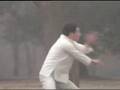 Baji quan (Ryuchi Matsuda) part1