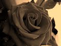 gl�ck, orfeo -
charles mackerras conductor
 the great canadian contralto maureen forrester; che puro ciel .....
her magnificent voice and her expression  makes of this aria  a real jewel