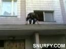 ROOF FLIP