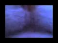 うたう猫動画