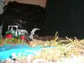 videos de Clay motion - environment pollution