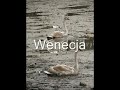 Wenecja.