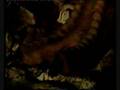 Dinosaurios Mundo Jurasico Animatronix