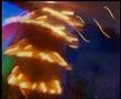 Messages from the Maelstrom #6: Dream Transcendence