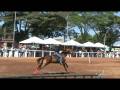 Goiania Rodeo Festival