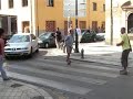 Peatón Crítico jugando en la calzada: cada día sin coches