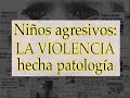 INSTITUCIONAL VIDEO DVD EDUCATIVOS