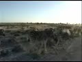 Etosha Park, Africa, Namibia zebras,