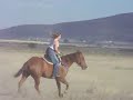 Shorty horse bucking