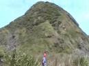 Waitakere Ranges
