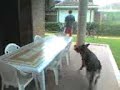 play video on Last.fm