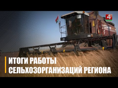 105,4% составил темп роста по итогам работы сельхозорганизаций Гомельщины за 9 месяцев 2025 года видео