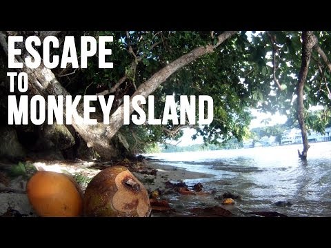 monkey - Travel Annex takes you on an informative journey to Pellew Island, better known as Monkey Island, just outside of Port Antonio, Jamaica. Keep your eye out fo...