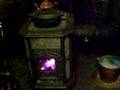 Woodstock Soapstone Wood Stove