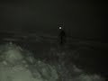 Dog in the snow chasing a laser