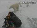 videos de Borge Ousland encounters polar bears