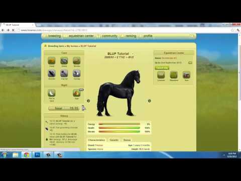 how to bid on howrse