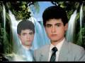 videos de gerila mahmut kayıp.mpg