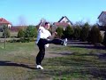 Kung Fu Practice by Michael Wasowski