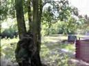 NoD paintball pictures NoD paintball pictures
