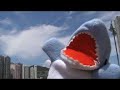 [shark]??? - ??