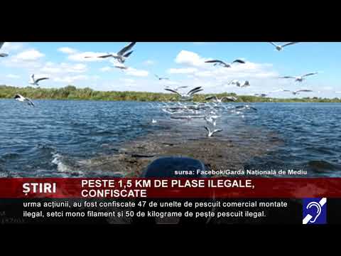 Garda Națională de Mediu a confiscat peste 1,5 km de plase ilegale în Delta Dunării